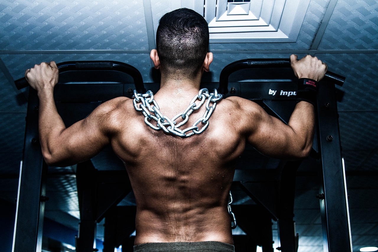 Gym and Fitness Center