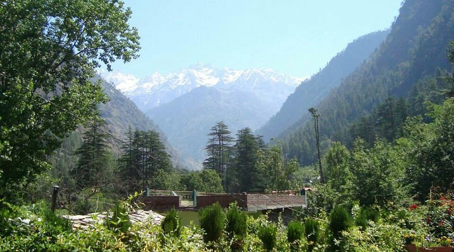 Nature Image